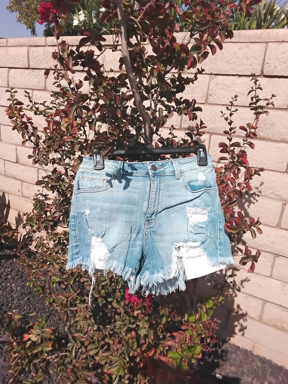 APL Light Blue Distressed Denim Cutoff Shorts